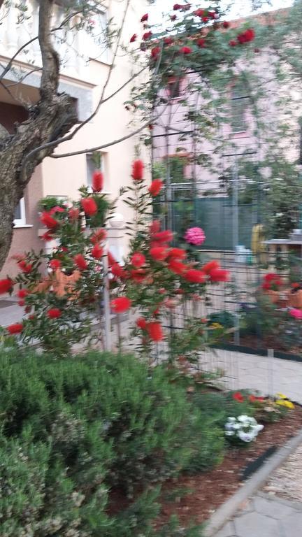 ביוגראד נה מורו Apartments Kata מראה חיצוני תמונה