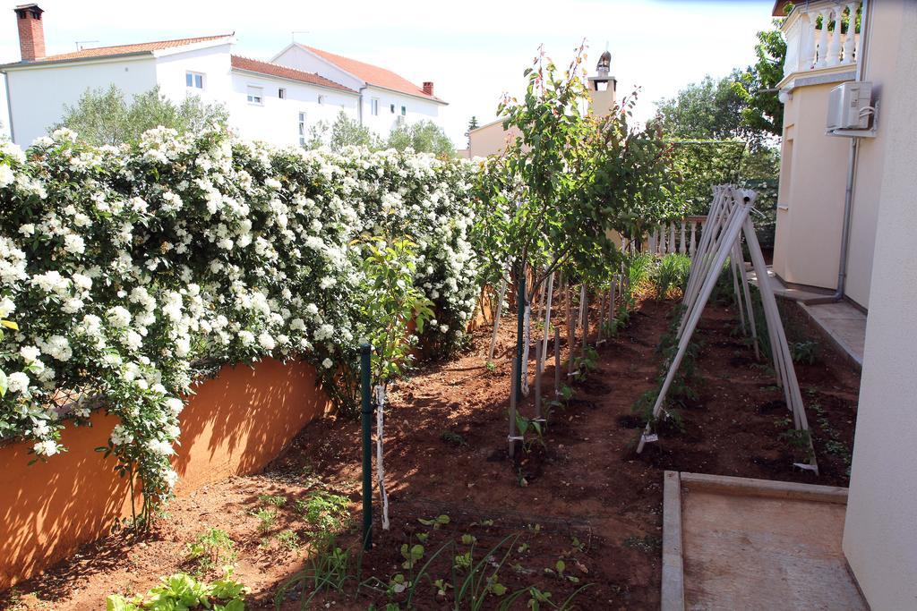 ביוגראד נה מורו Apartments Kata מראה חיצוני תמונה